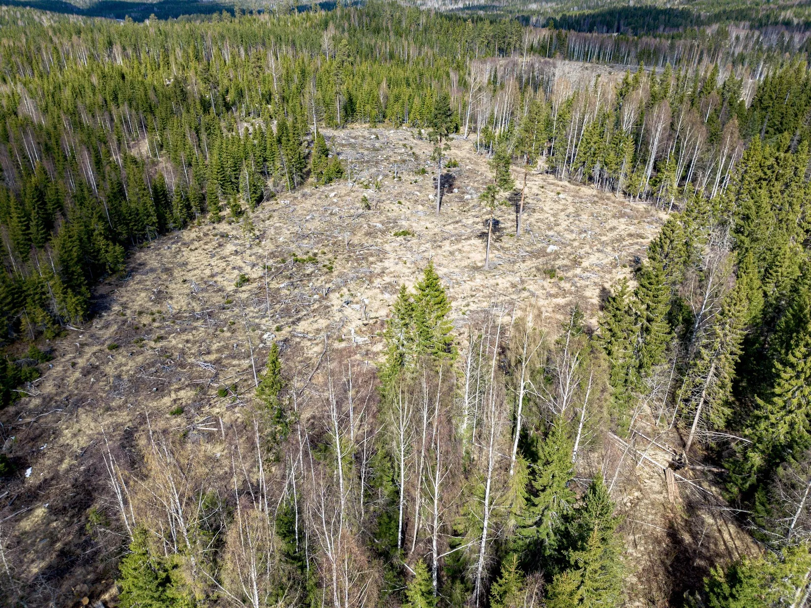 Gård/Skog, Kramfors Mo 2:10 & 16:2, Dal, Kramfors