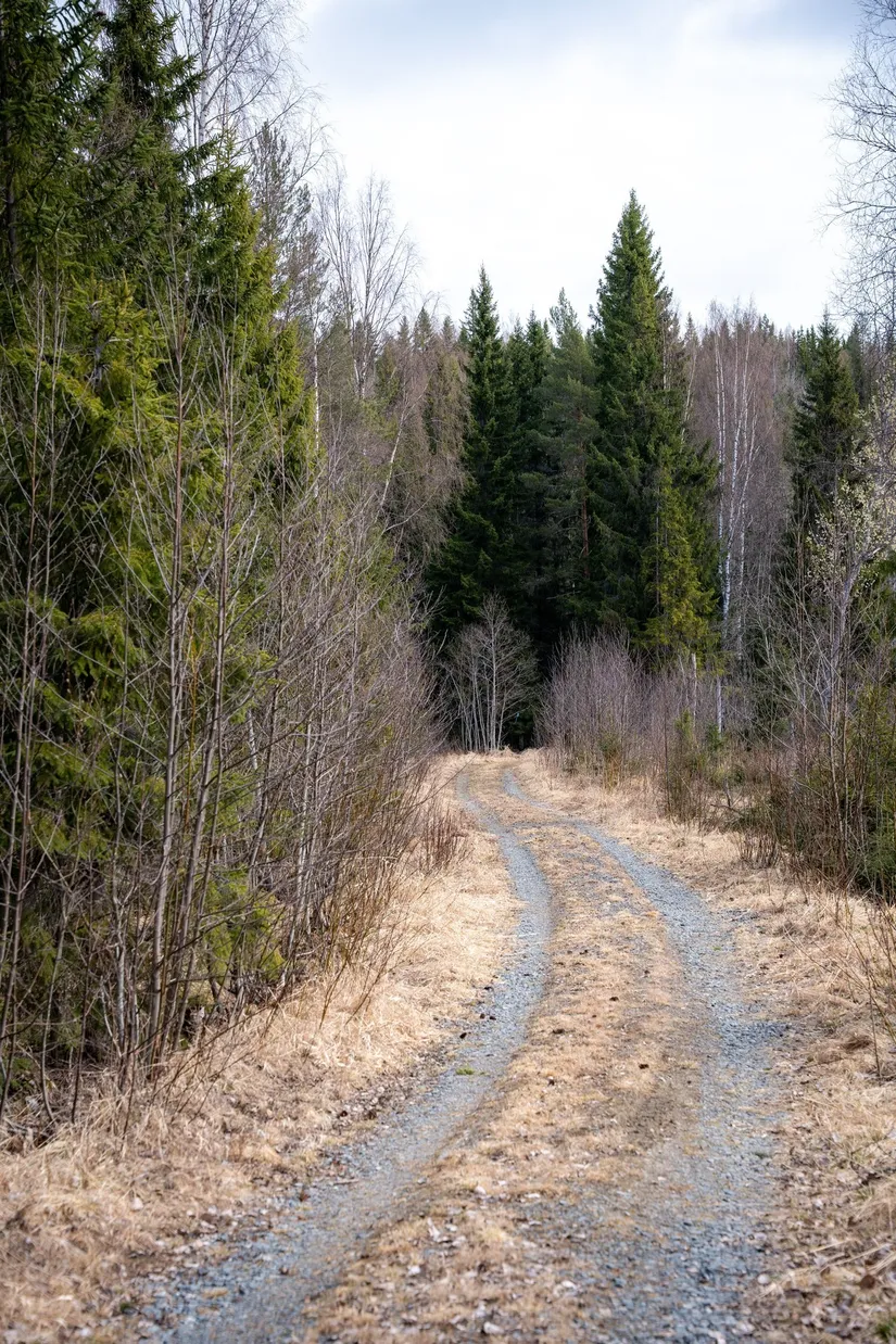 Gård/Skog, Kramfors Mo 2:10 & 16:2, Dal, Kramfors