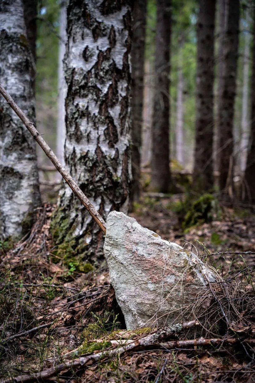 Gård/Skog, Kramfors Mo 2:10 & 16:2, Dal, Kramfors