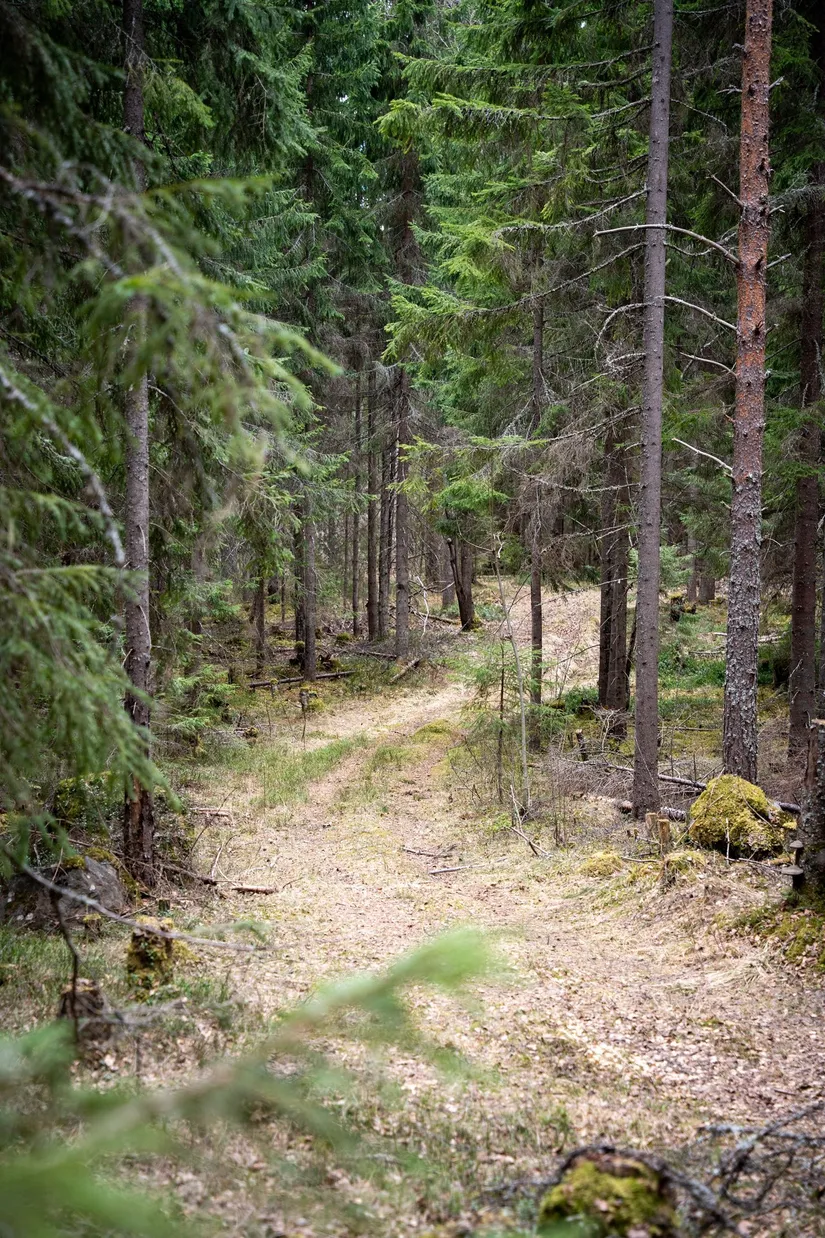 Gård/Skog, Kramfors Mo 2:10 & 16:2, Dal, Kramfors