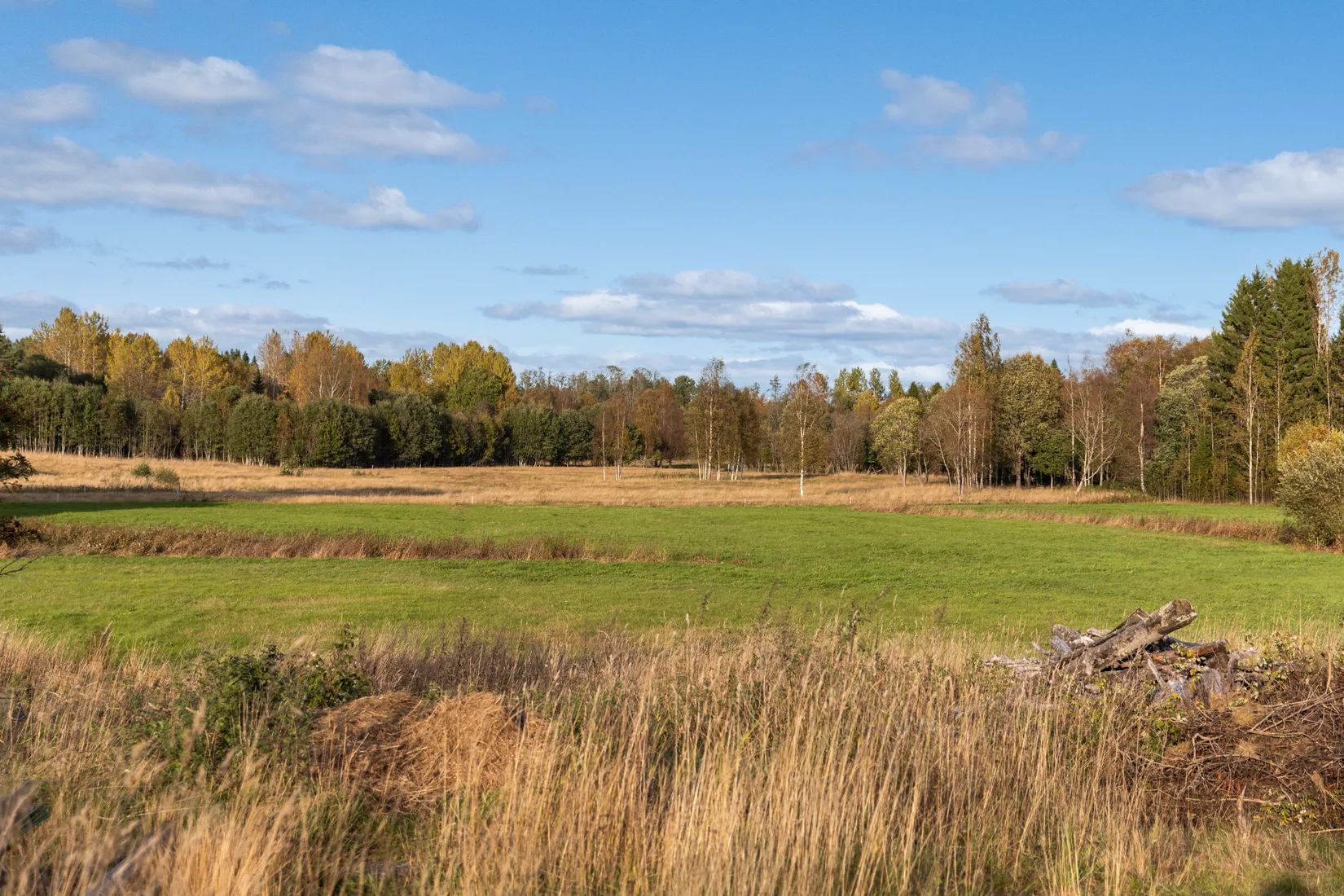 Gård/Skog, Mällby 526, Tynderö, Timrå