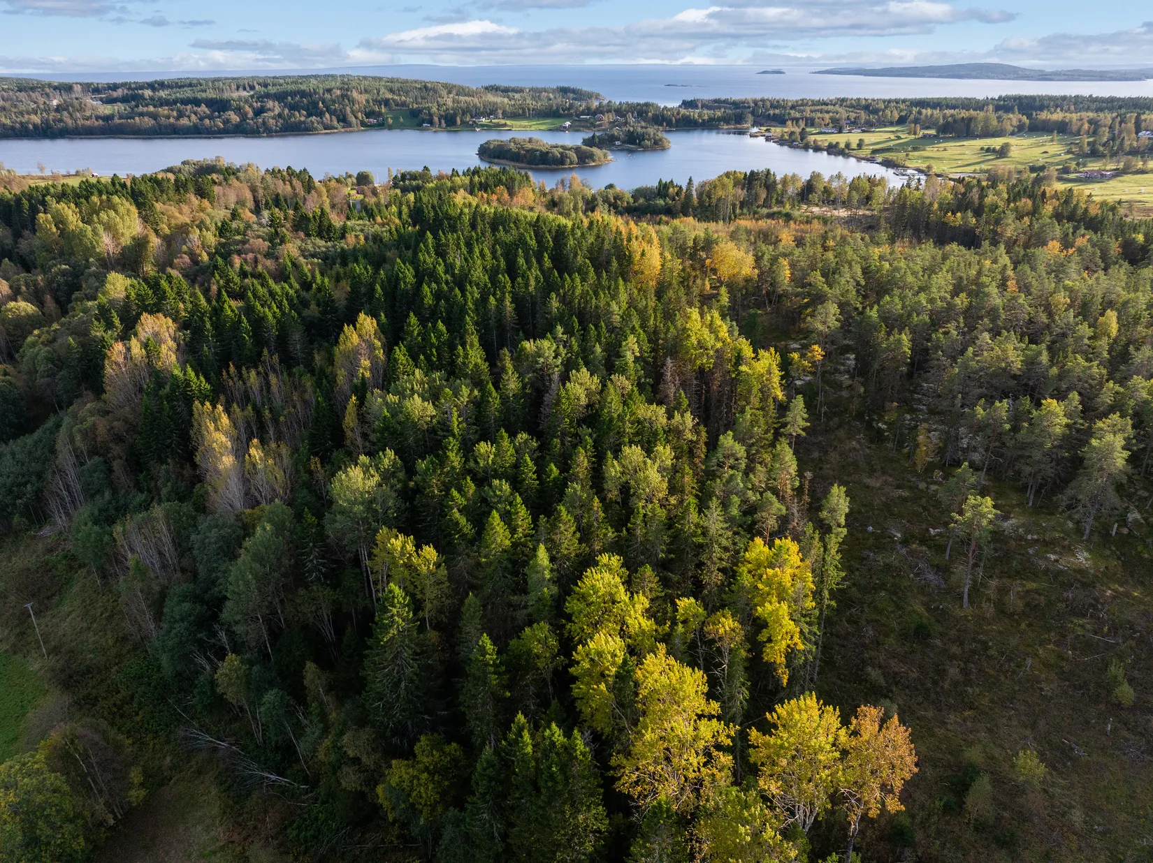 Gård/Skog, Mällby 526, Tynderö, Timrå
