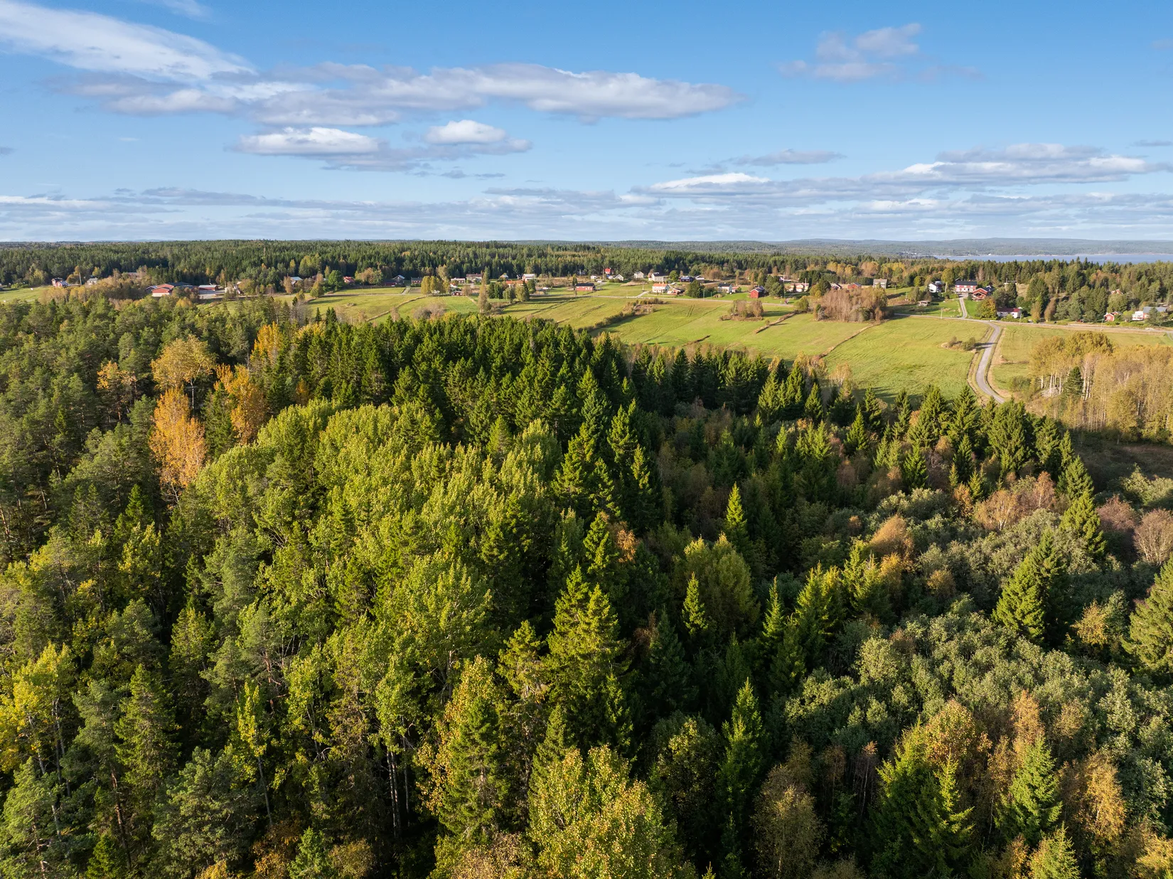 Gård/Skog, Mällby 526, Tynderö, Timrå