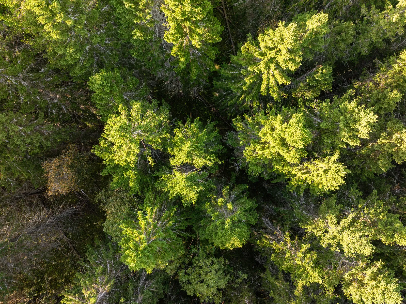 Gård/Skog, Mällby 526, Tynderö, Timrå