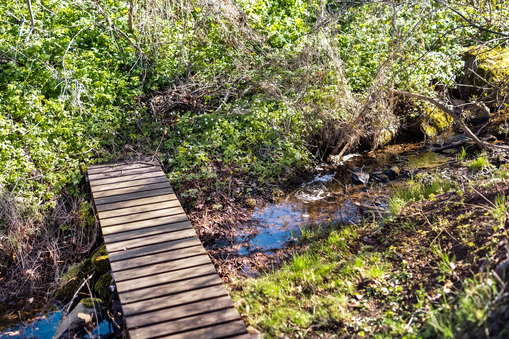 Villa, Börjesgårdsgränd 8, Gränna, Jönköping