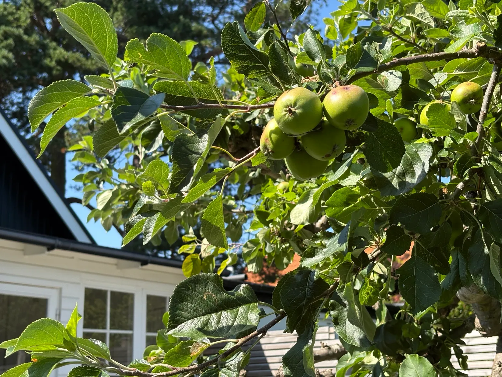 Villa, Häggvägen 5, Häljarp, Landskrona