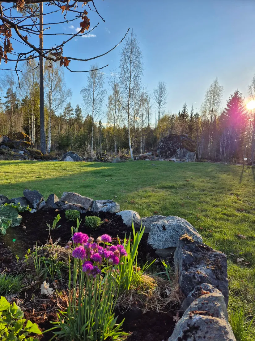Gård/Skog, Iggelbo 121, Månkarbo, Tierp