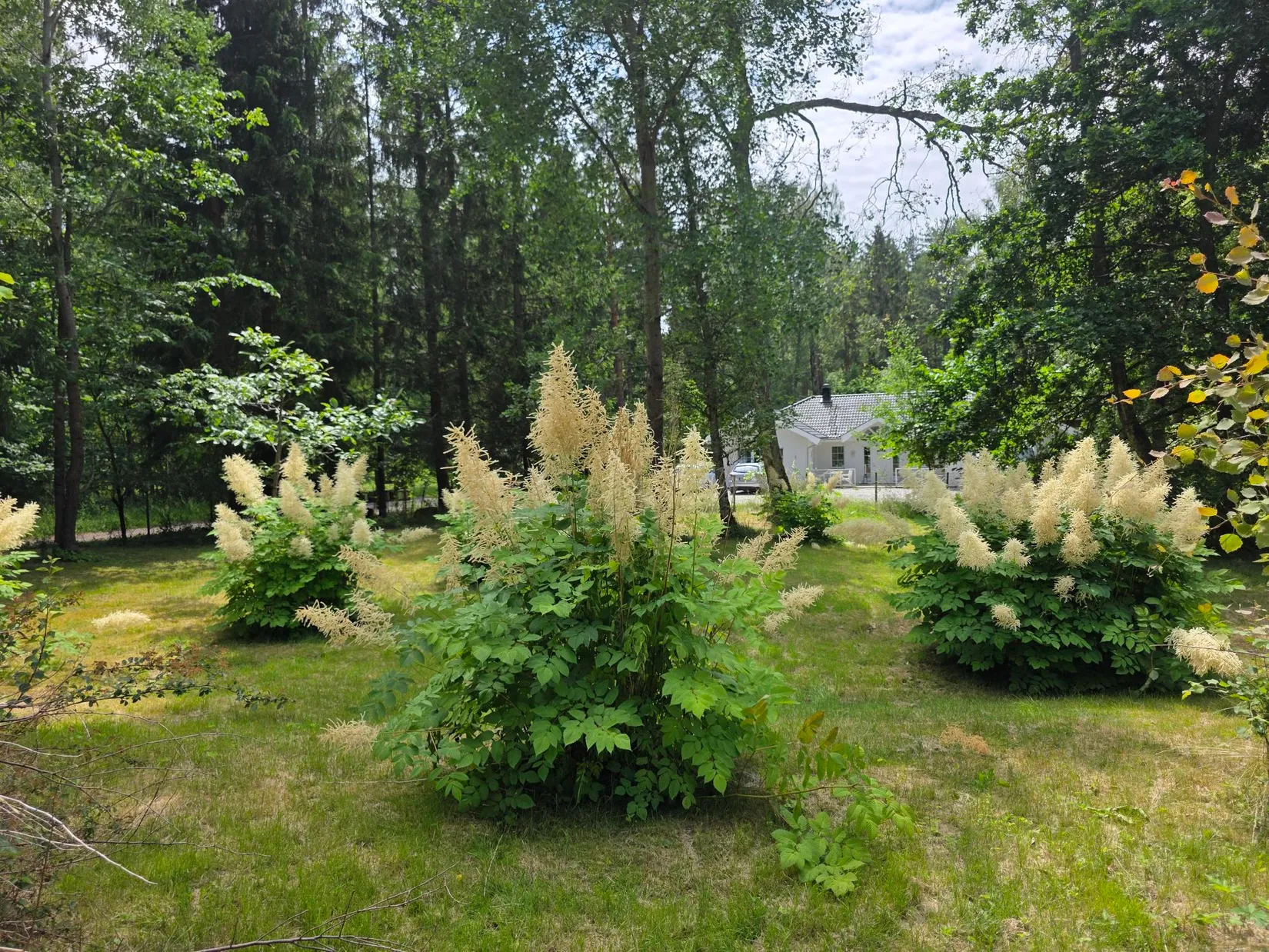 Villa, Fritidsvägen 2, Hemmestorps Björke, Sjöbo