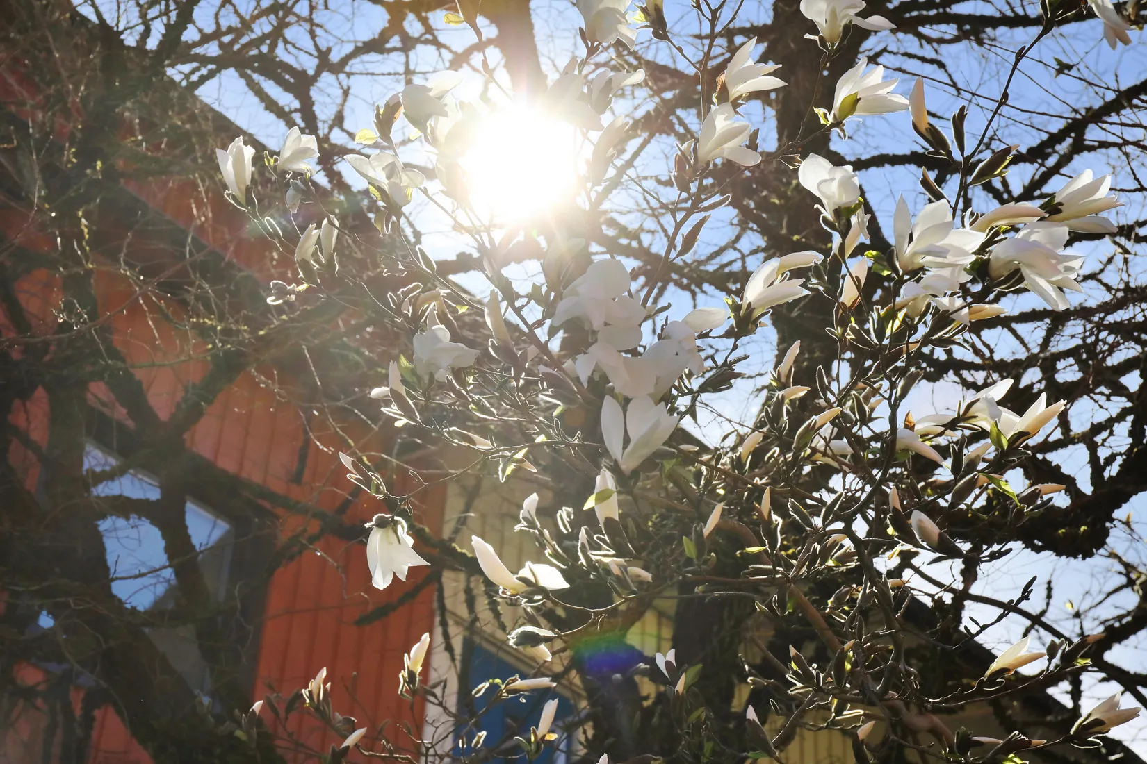 Bostadsrätt, Vindfällegatan 5, Uddevalla