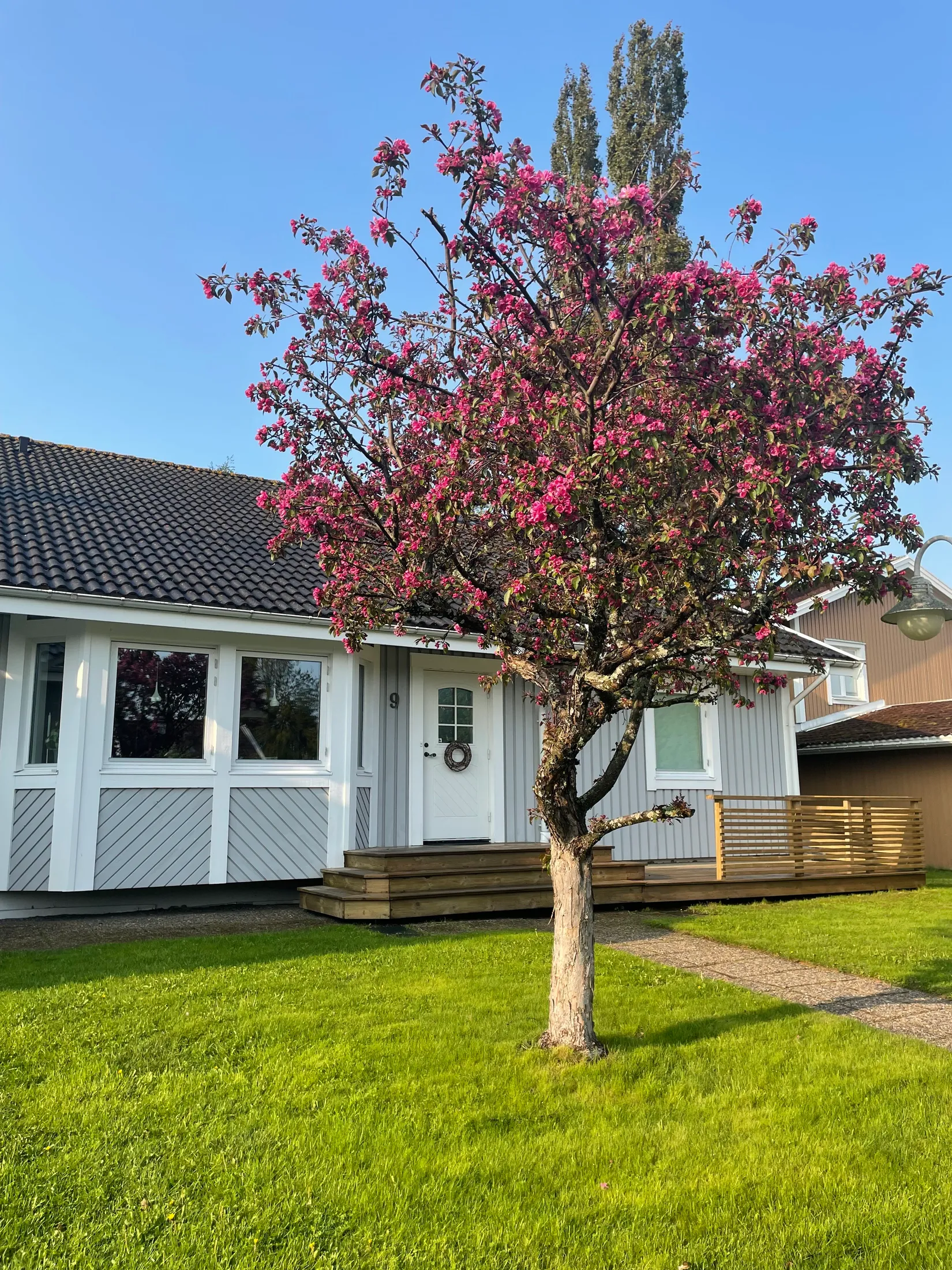 Villa, Lövsångarvägen 9, Stenhammar, Härnösand