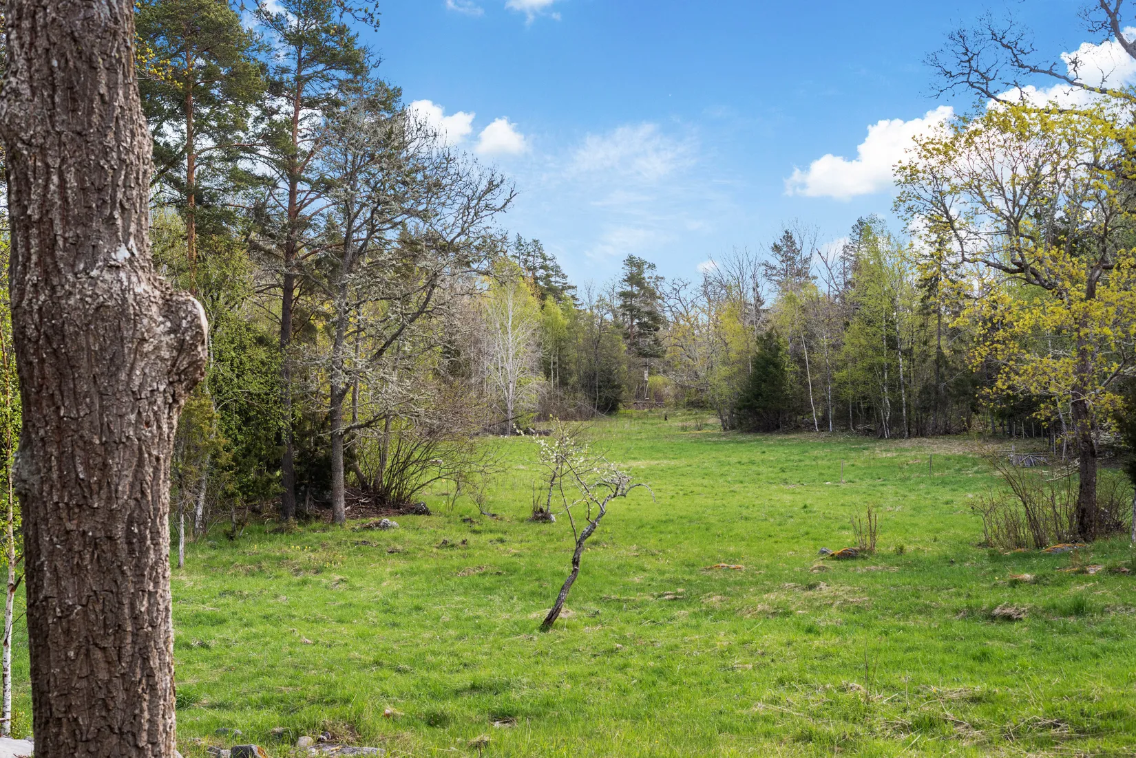 Gård/Skog, Lappstigen 19, Häverö, Norrtälje