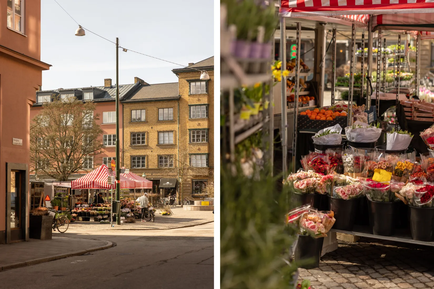 Bostadsrätt, Verkstadsgatan 6A, Davidshall, Malmö