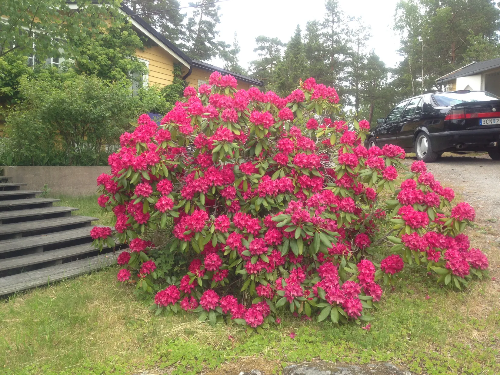 Fritidshus, Sjöallén 12, Koviksudde, Värmdö