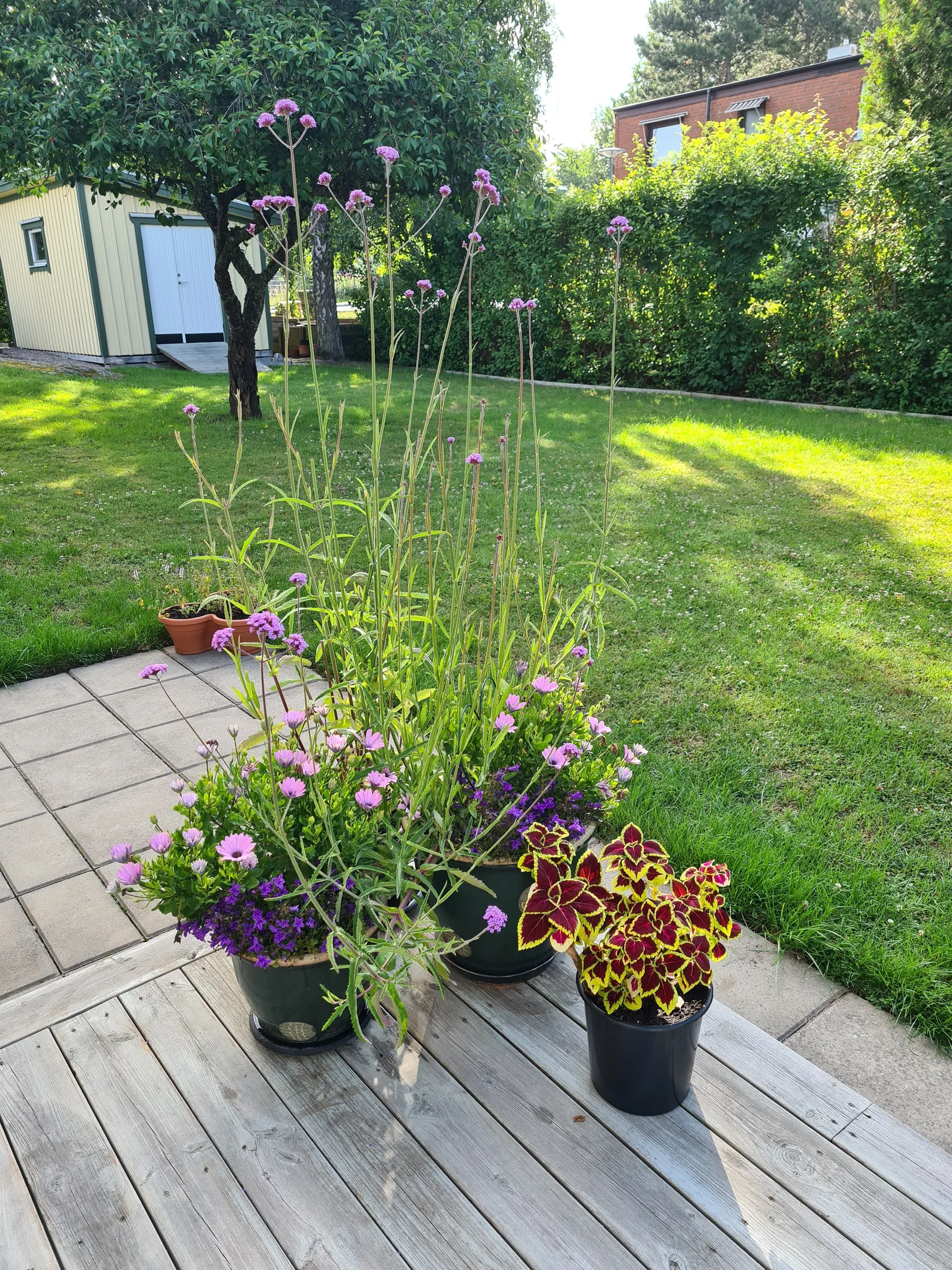 Villa, Lindgatan 2, Mariero, Vänersborg