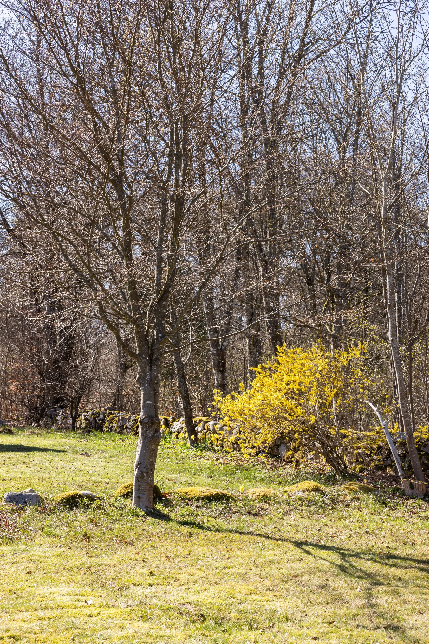 Fritidshus, Raskarumsvägen 51, Rörum, Simrishamn