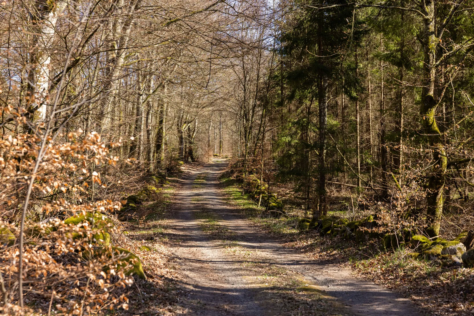 Fritidshus, Raskarumsvägen 51, Rörum, Simrishamn