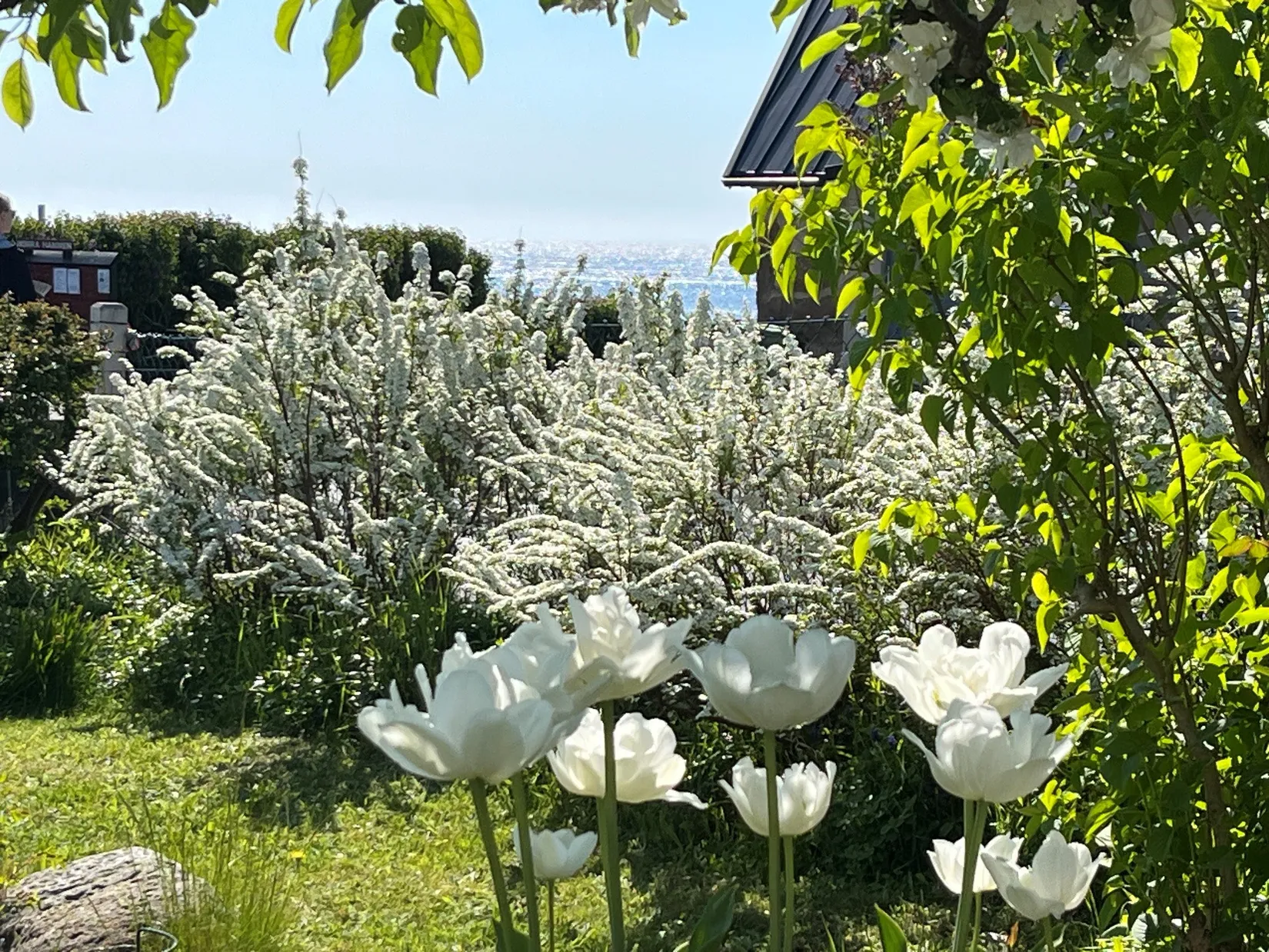 Villa, Östersjögatan 48, Brantevik, Simrishamn