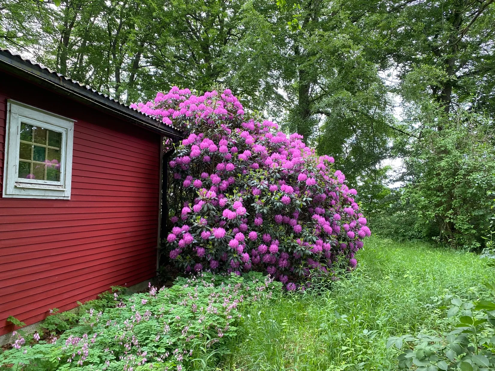 Fritidshus, Sallerup 7226, Hörby