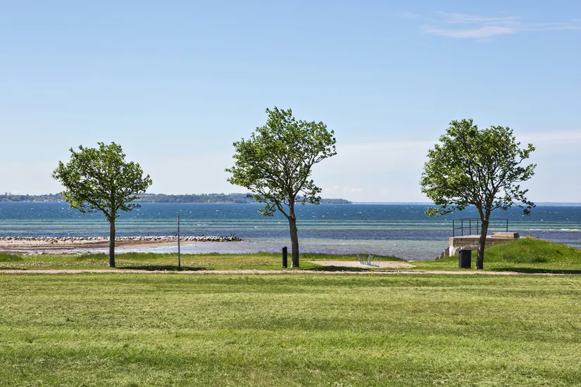 Villa, Radhus, Brinkgatan 14, Borstahusen, Landskrona