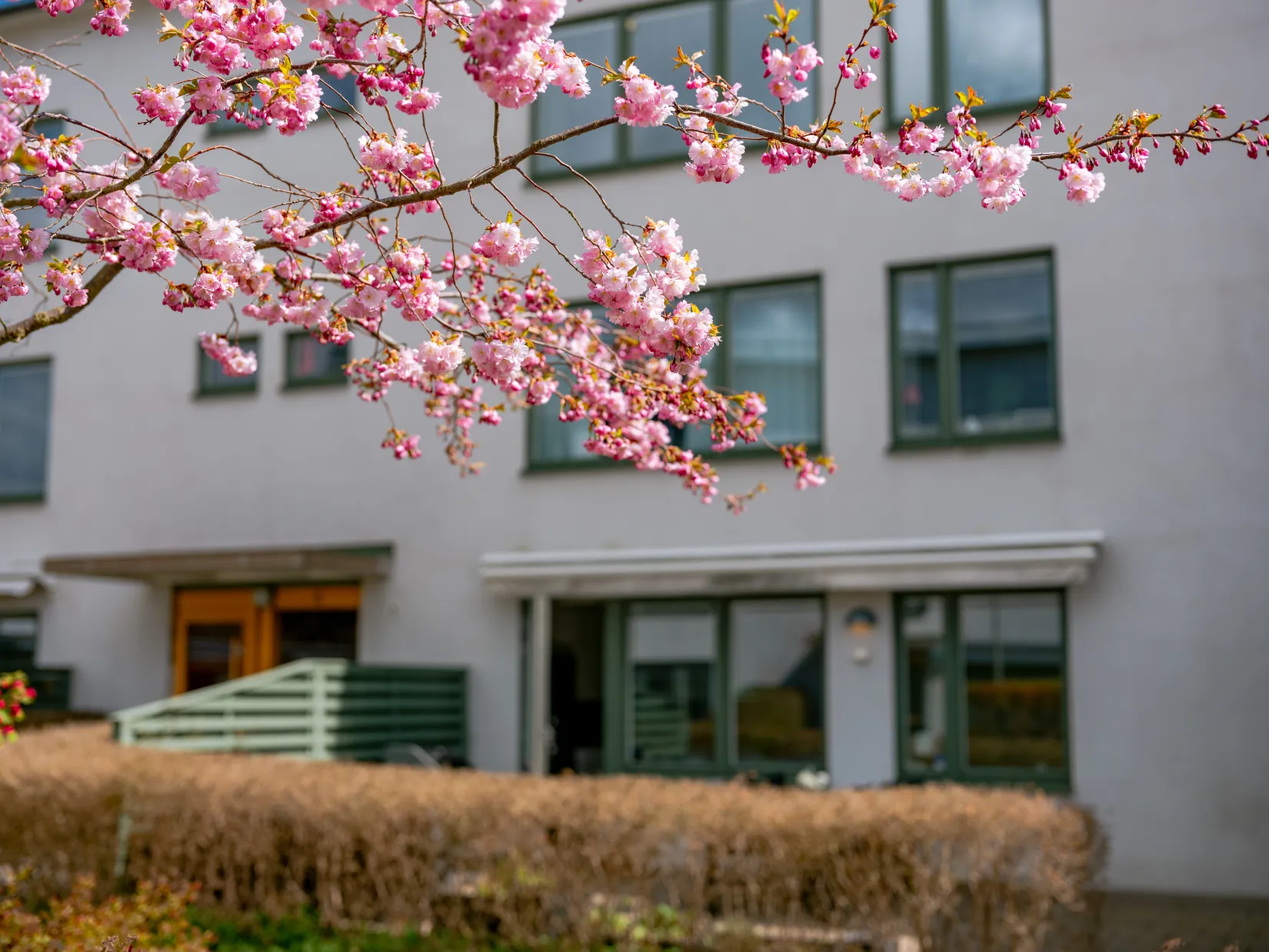Bostadsrätt, Gavelvägen 6, Bergsätra, Lidingö