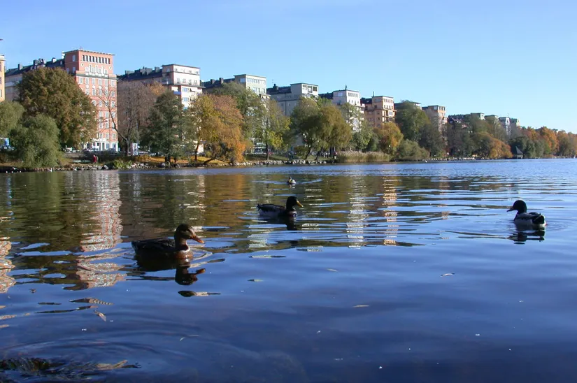 Bostadsrätt, Sankt Göransgatan 85, vån 3, Kungsholmen Fridhemsplan, Stockholm