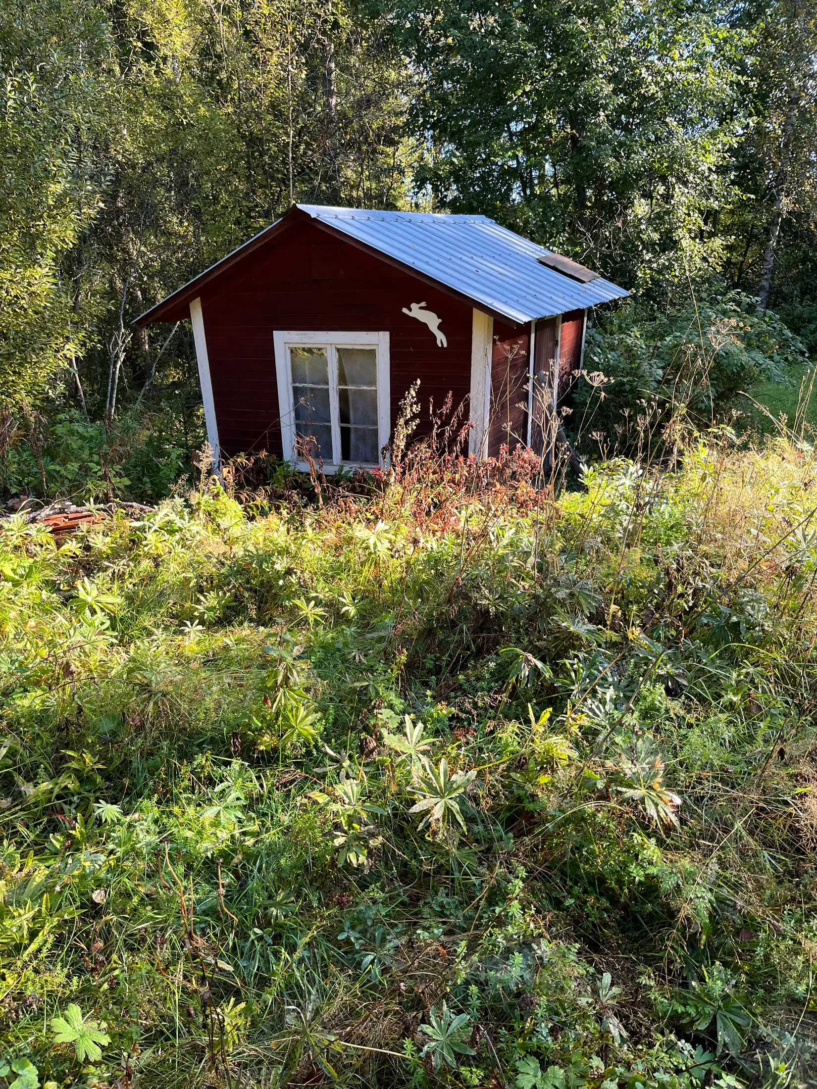 Gård/Skog, Roren 2327, Vallsta, Bollnäs