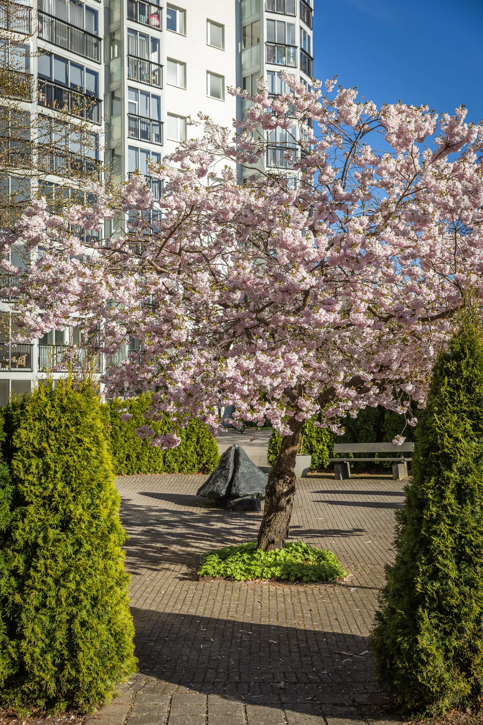 Bostadsrätt, Skogshyddegatan 47, Alideberg, Borås