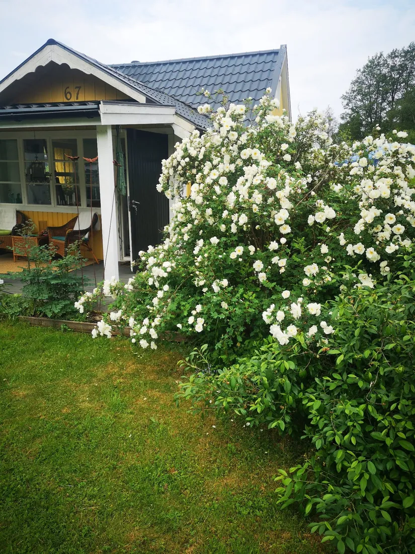 Fritidshus, Kolonivägen 67, lottnr 87, Biskopsängen, Västerås