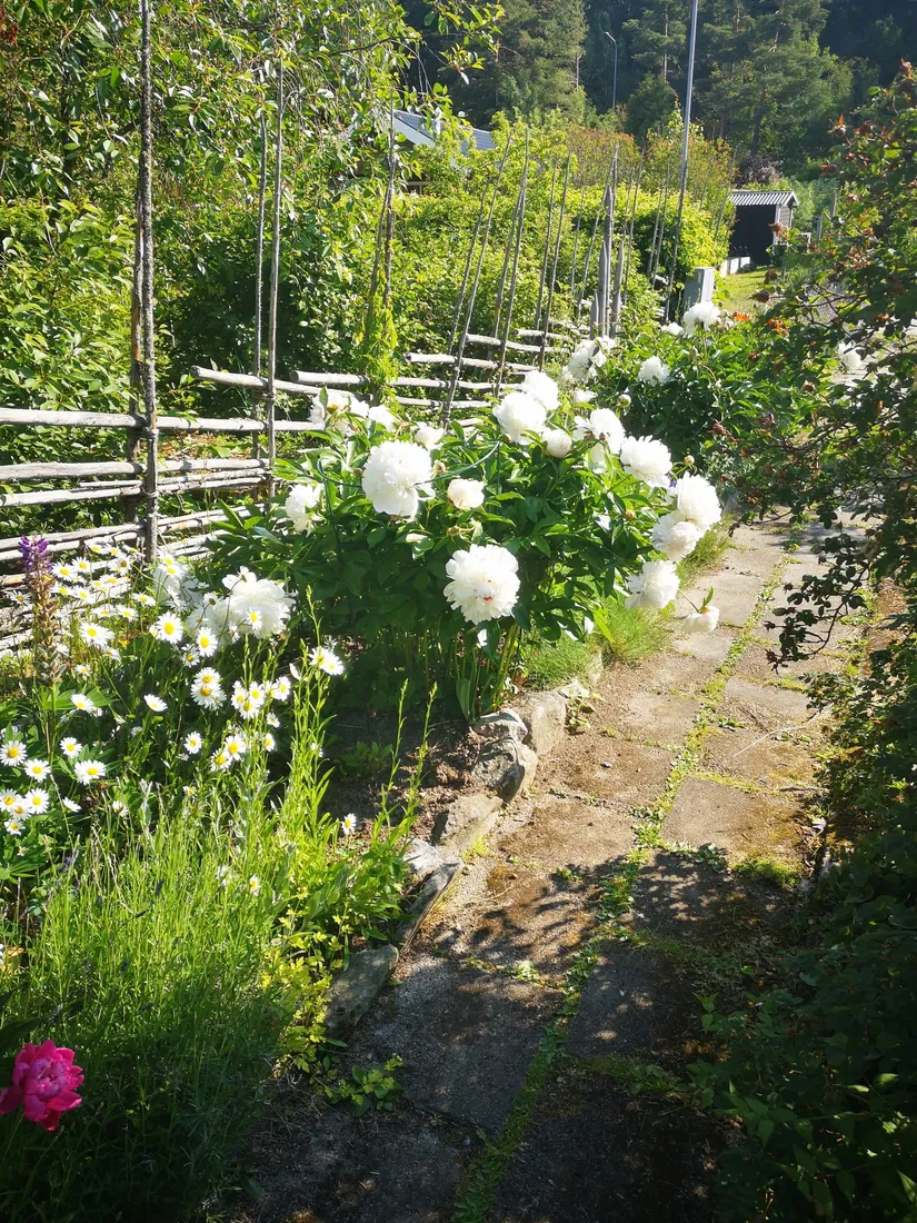 Fritidshus, Kolonivägen 67, lottnr 87, Biskopsängen, Västerås
