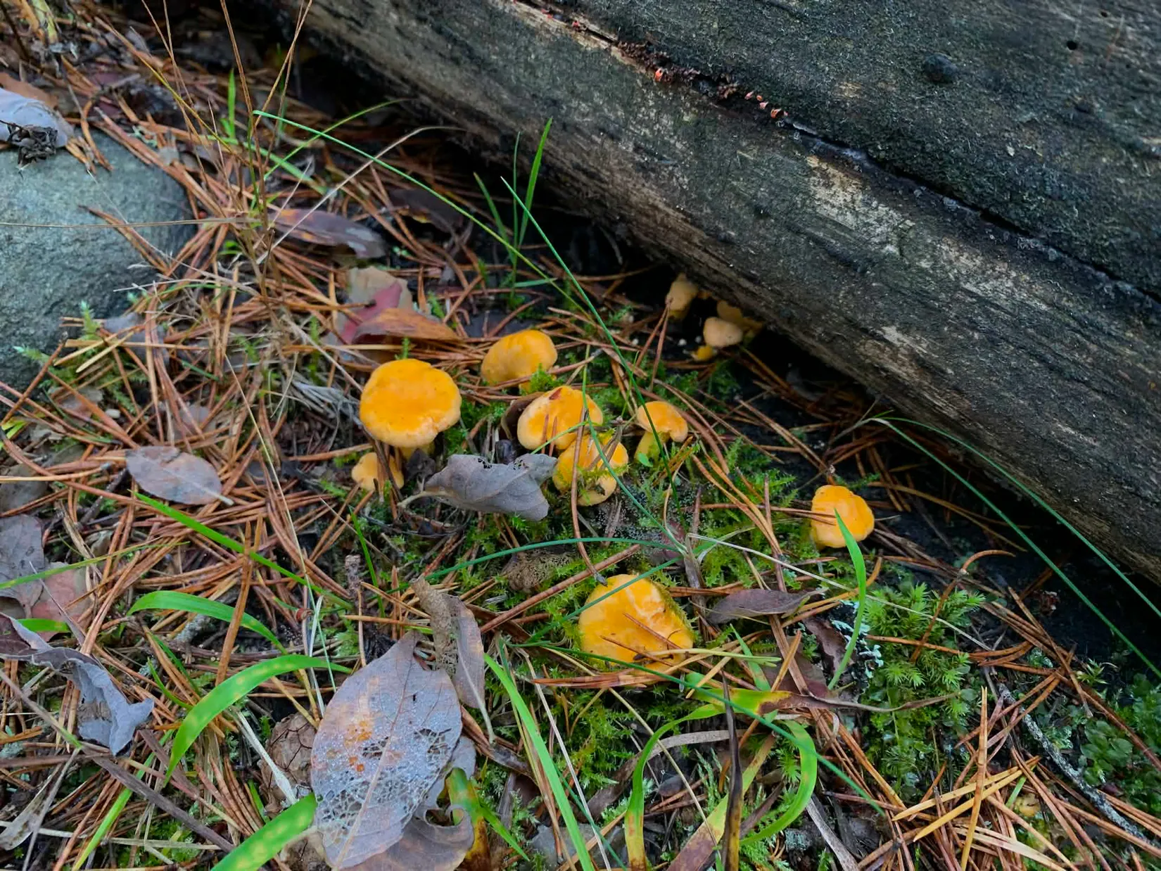 Fritidshus, Vaden 125, Vaden - Sundsveden, Östhammar
