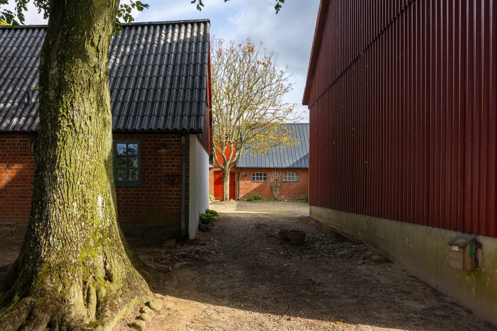 Gård/Skog, Lillevångsvägen 42-54, Sjöbo