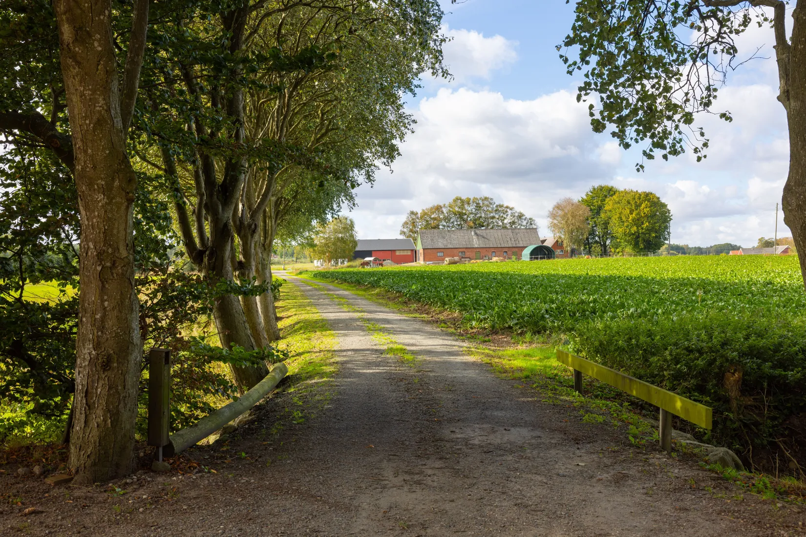 Gård/Skog, Lillevångsvägen 42-54, Sjöbo