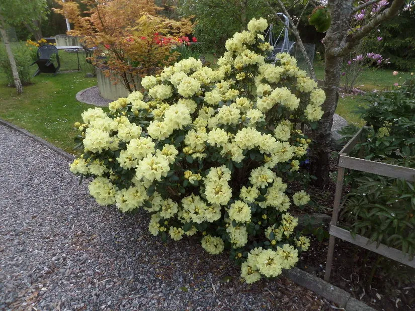 Villa, Stora Malm Lyckebo , Forssjö, Katrineholm