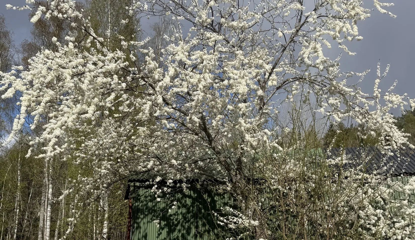 Villa, Ängtorpsvägen 5, Katrineholm