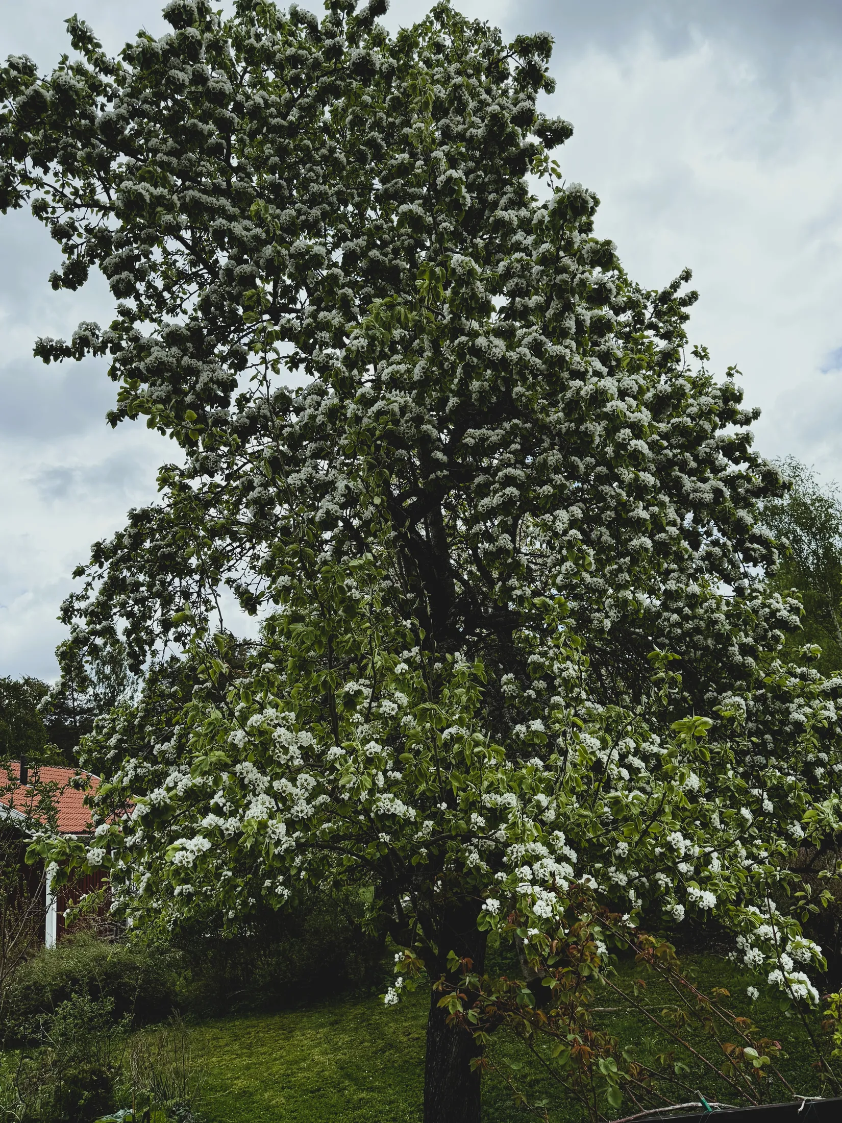 Villa, Roxmovägen 6, Katrineholm