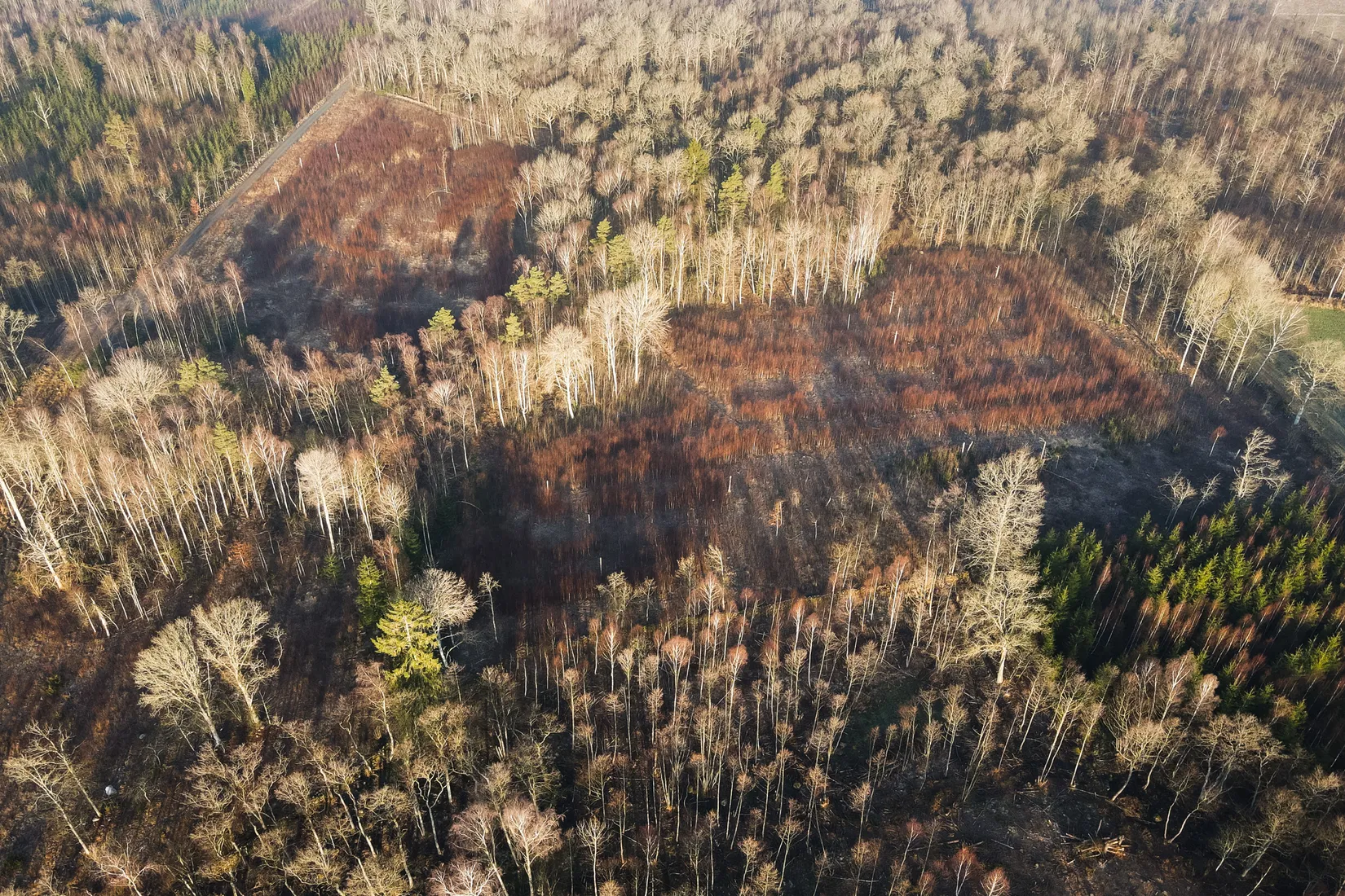 Gård/Skog, Tullsåkravägen 315, Tollarp, Kristianstad
