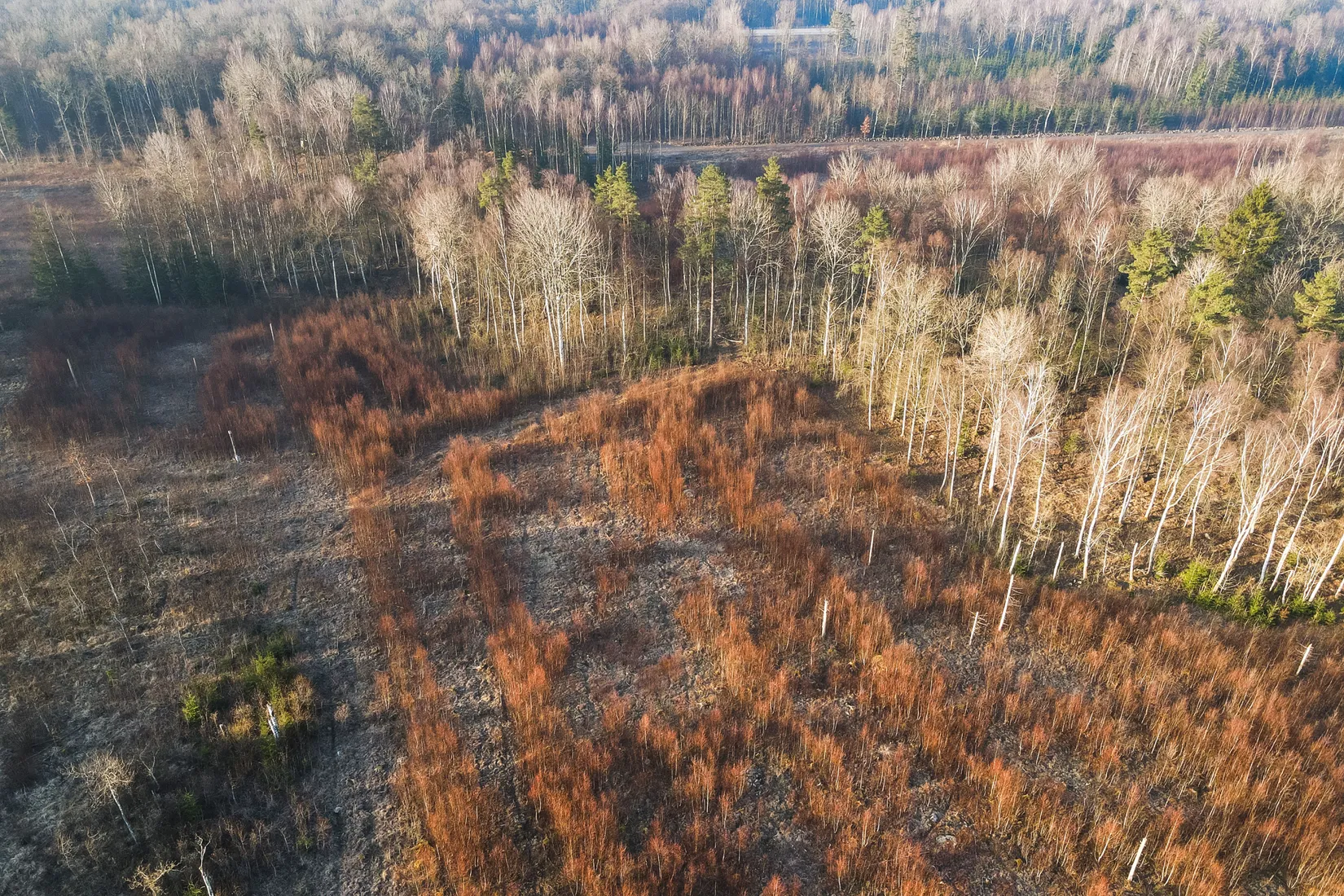 Gård/Skog, Tullsåkravägen 315, Tollarp, Kristianstad