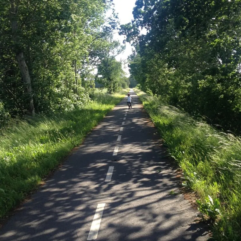 Gård/Skog, Tullsåkravägen 315, Tollarp, Kristianstad