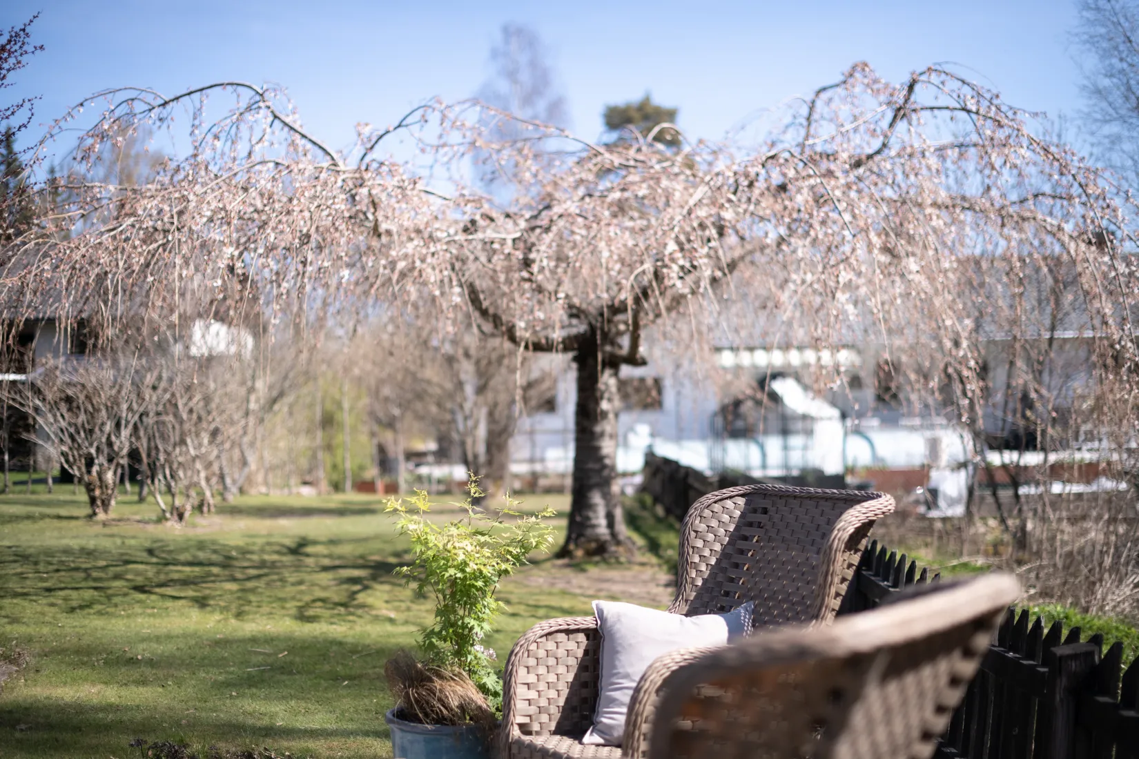 Villa, Saffrangången 29, Sörmarken, Borås