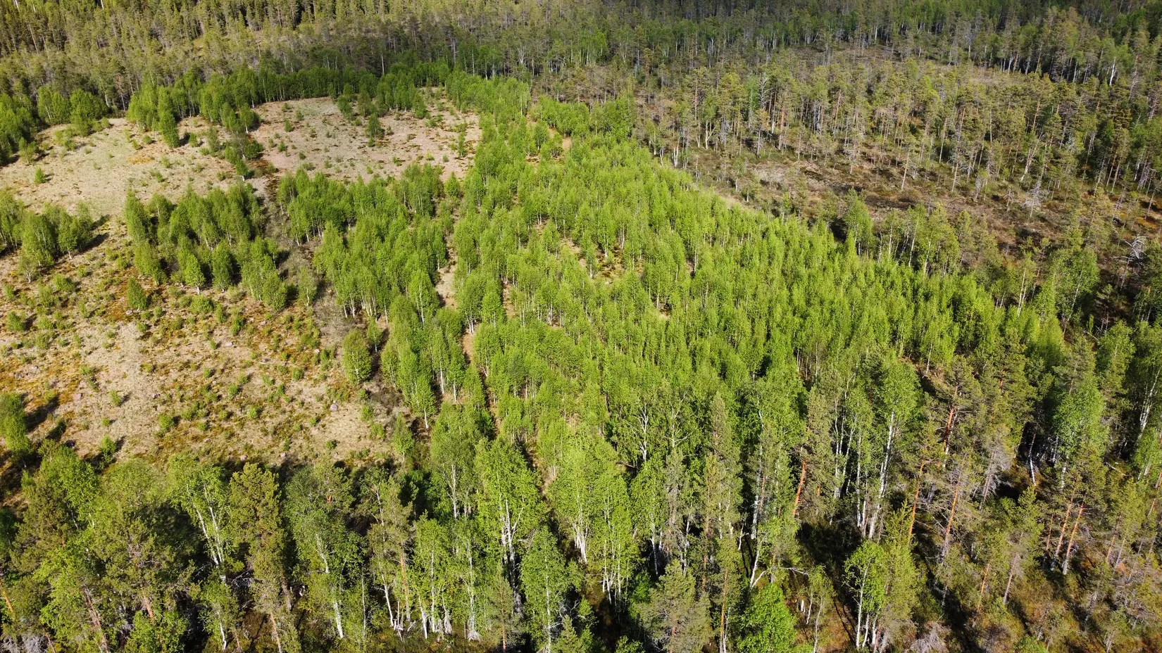 Gård/Skog, Kattisberg 23, Norsjö