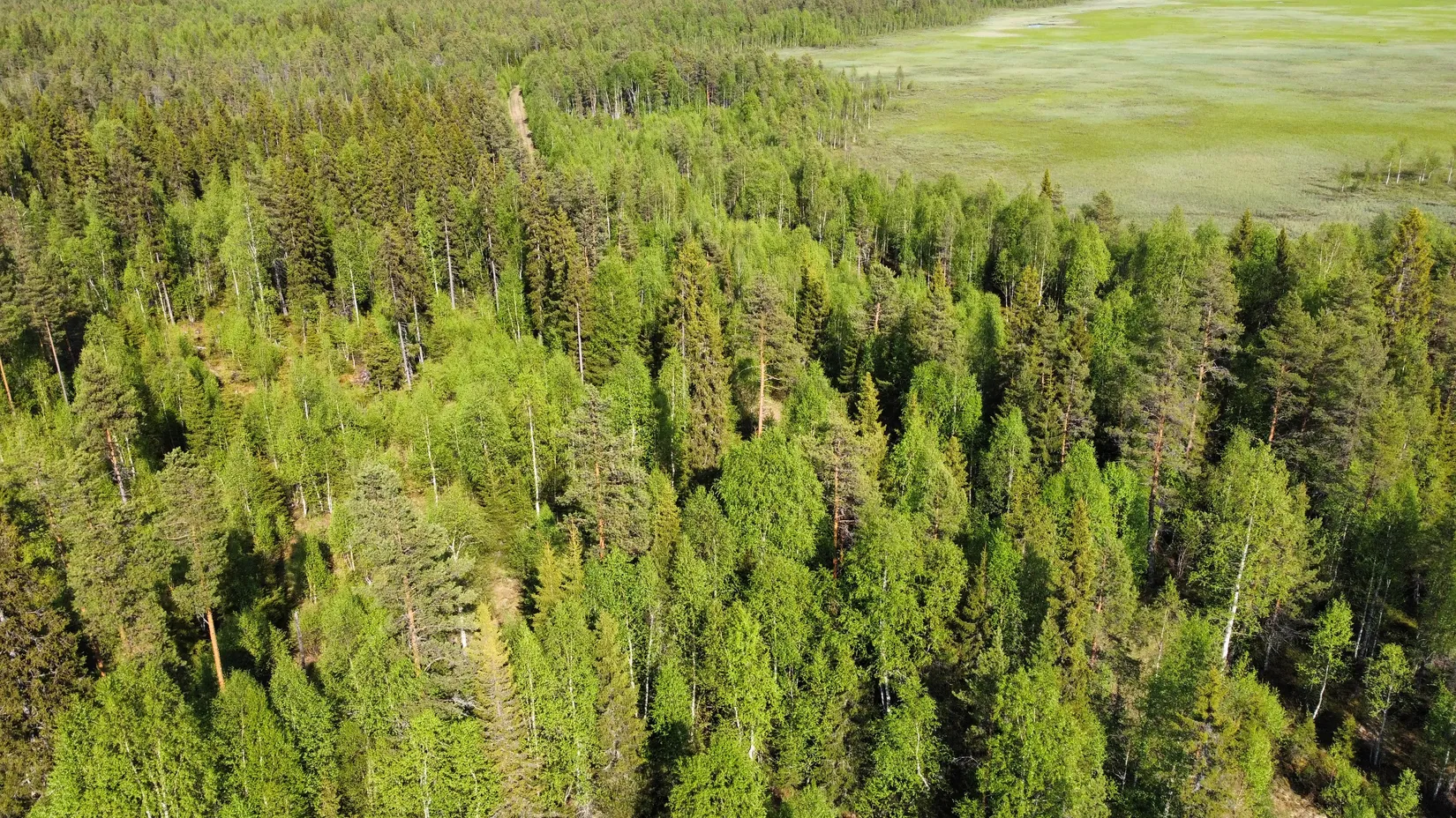 Gård/Skog, Kattisberg 23, Norsjö