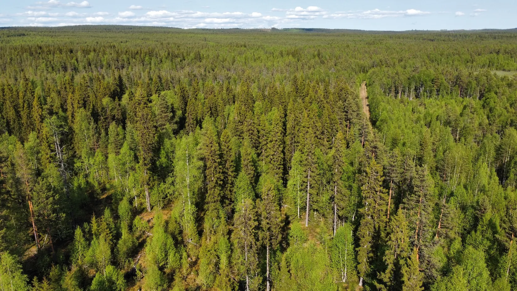 Gård/Skog, Kattisberg 23, Norsjö