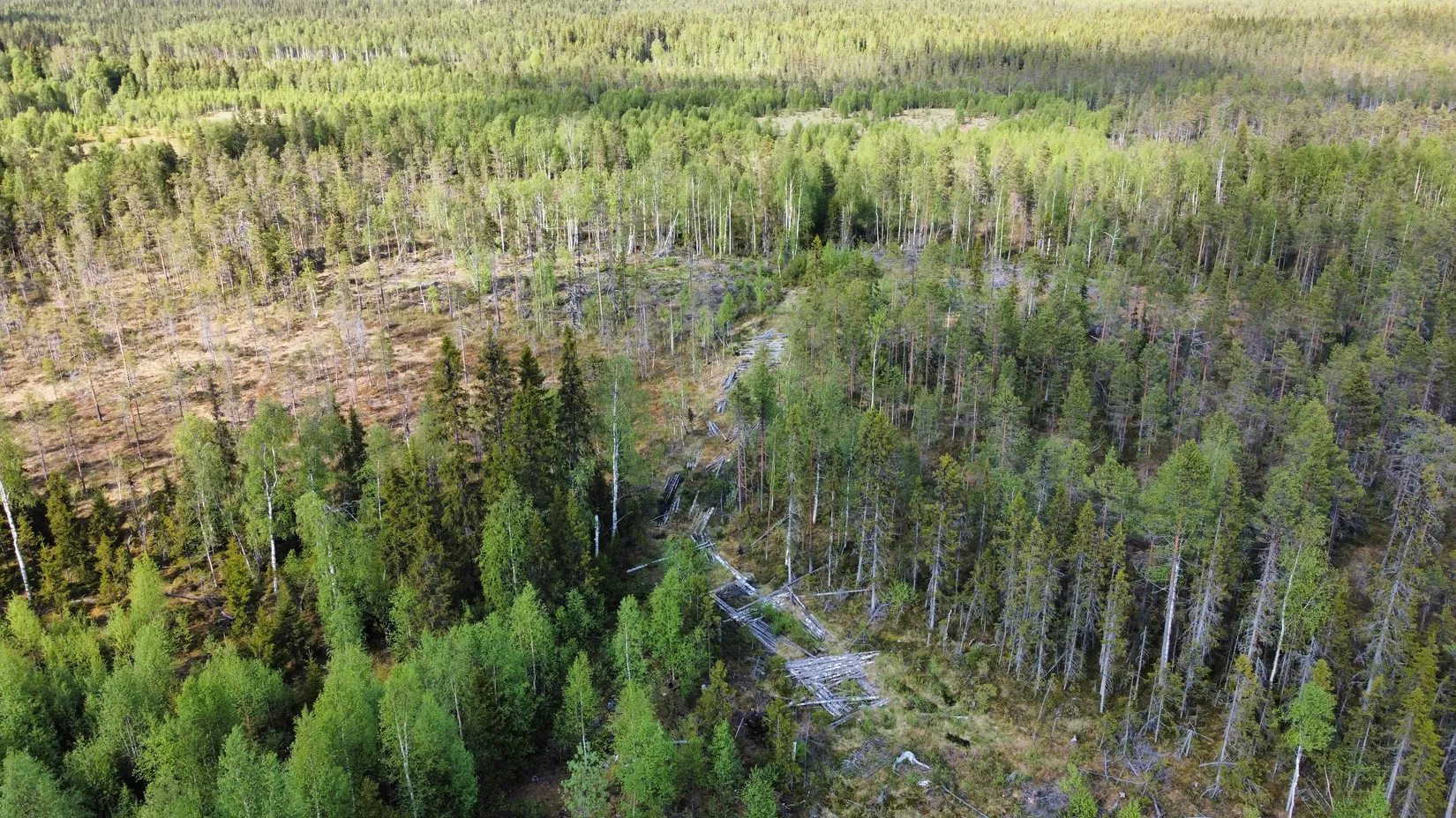 Gård/Skog, Kattisberg 23, Norsjö