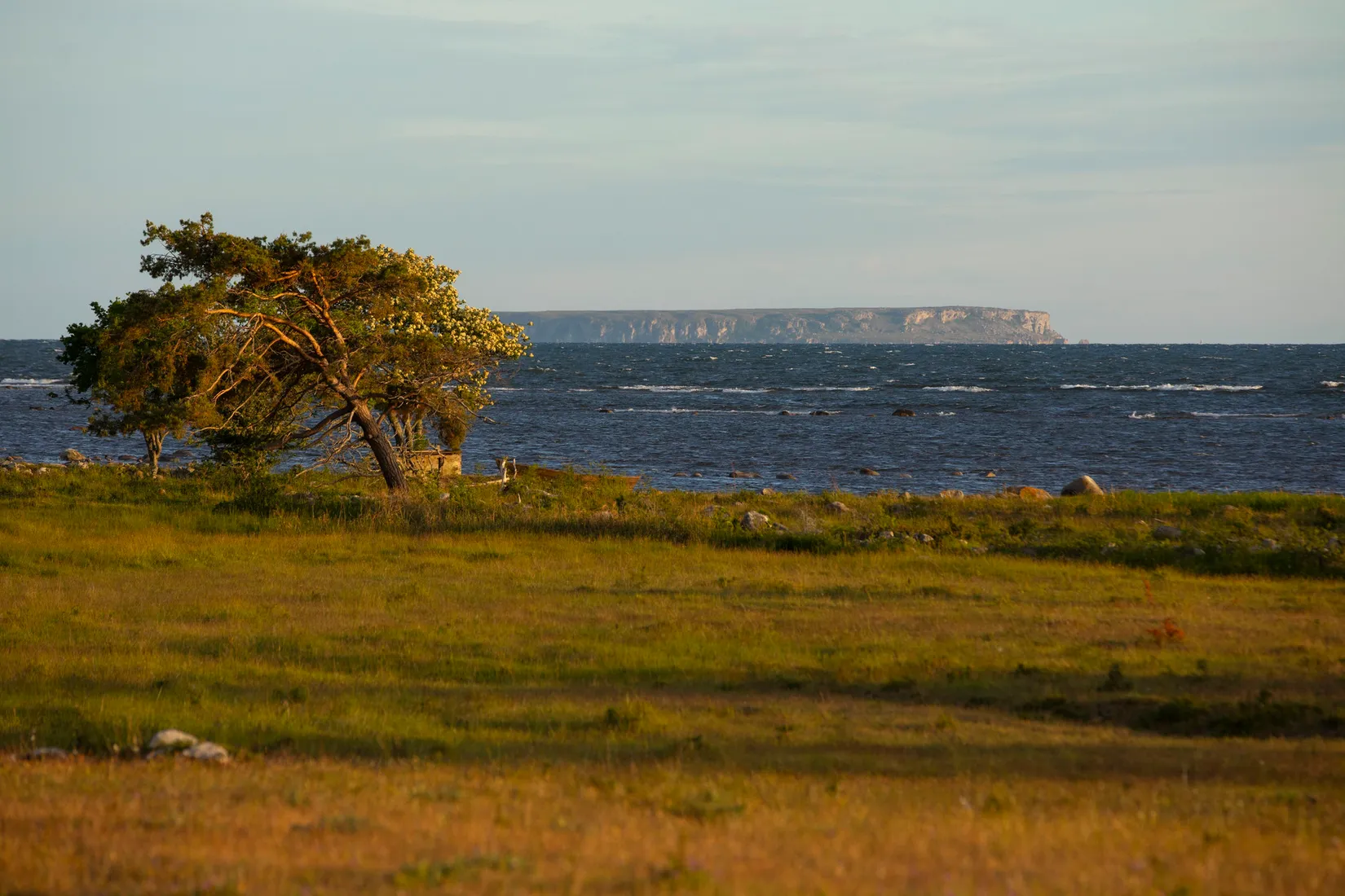 Villa, Sanda Svanviksvägen 775C, Sanda, Gotland