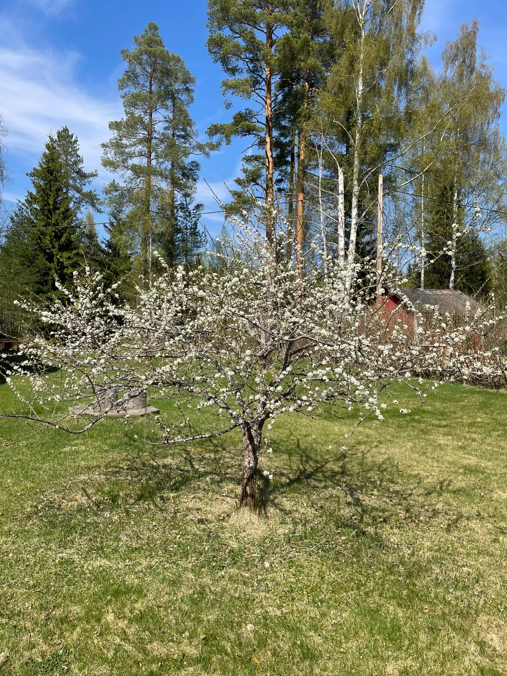 Villa, Västerbergsvägen 6, Lingbo, Ockelbo