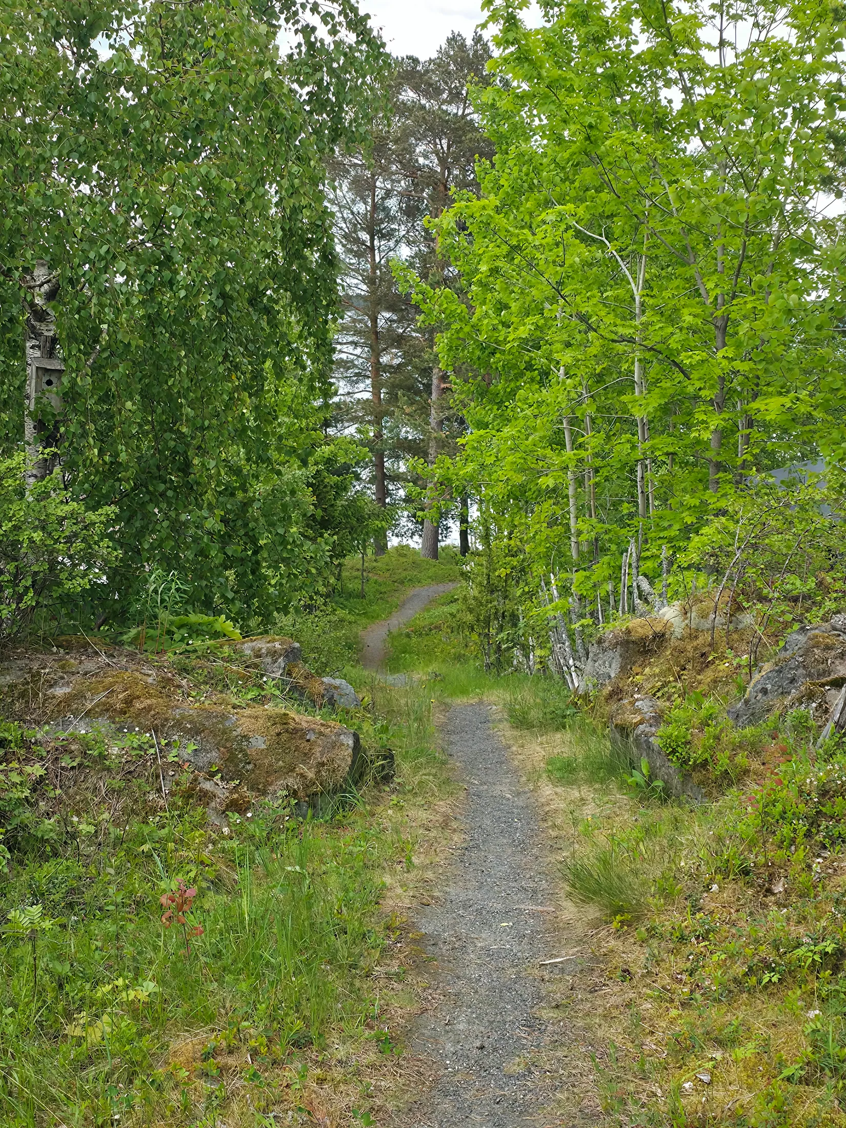 Fritidshus, Vaden 148, Söderön, Östhammar
