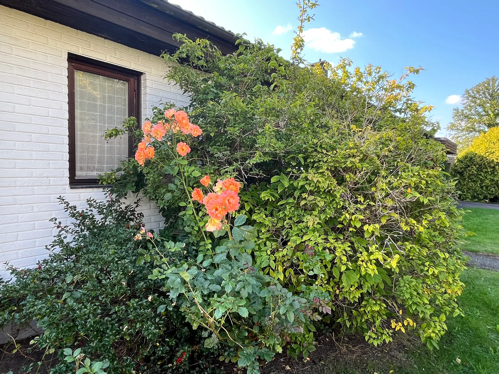 Villa, Munkarpsvägen 21, Centrum, Höör
