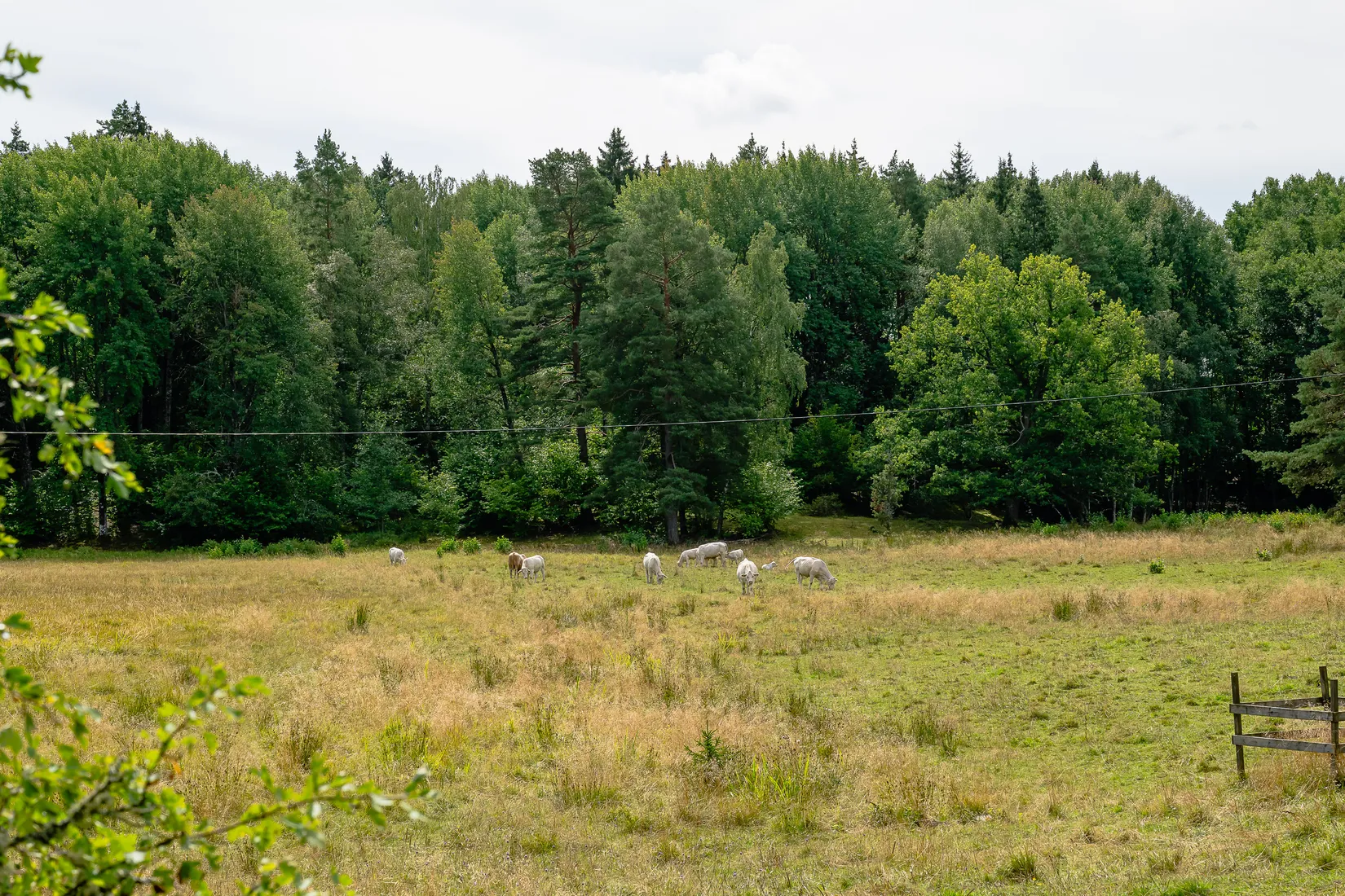 Fritidshus, Valdemarsön 36, Valdemarsön, Katrineholm