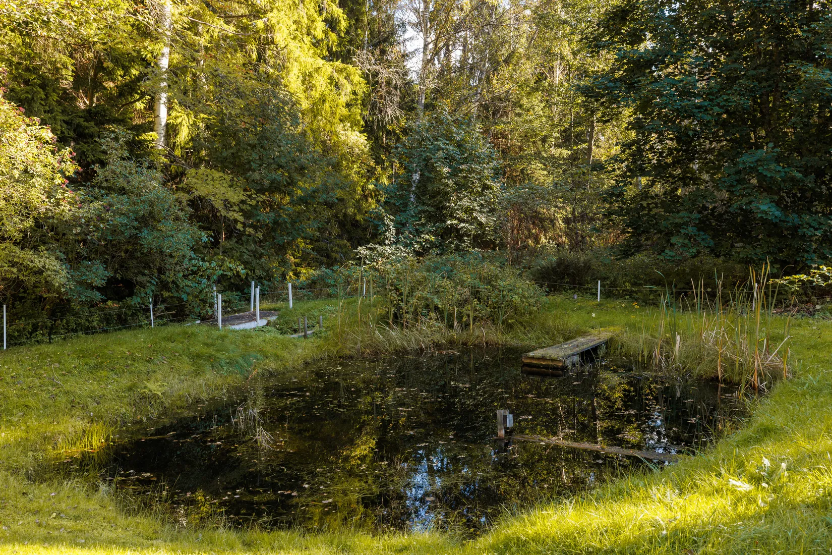 Fritidshus, Laxmossen 411, Örebro