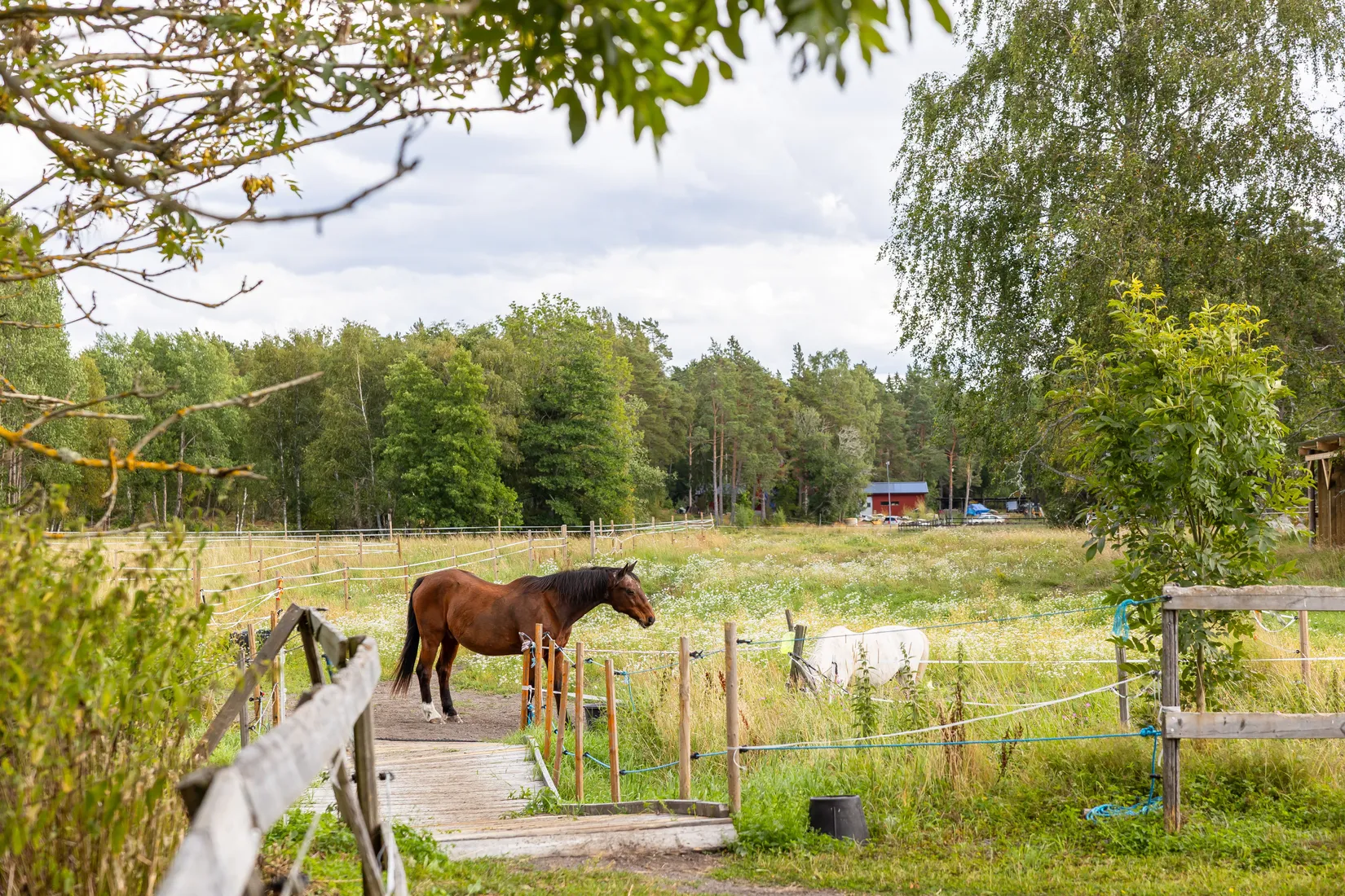 Gård/Skog, Björnäs 413, Björnäs, Östhammar